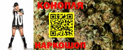 apvp Краснодар