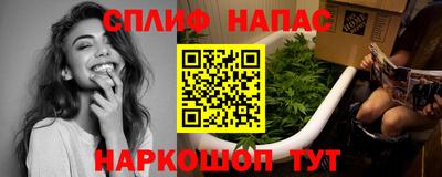 apvp Краснодар