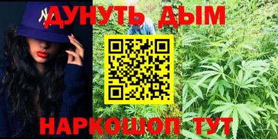 Альфа ПВП Краснознаменск