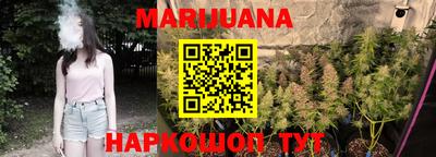 Альфа ПВП Краснознаменск